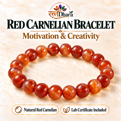Red Carnelian Bracelet for Motivation & Creativity | Certified Natural Stone